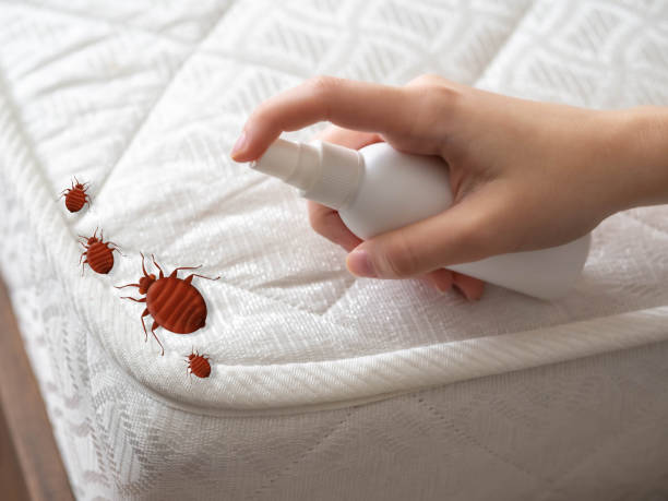 Best Best Pest Control Companies  in East Point, GA