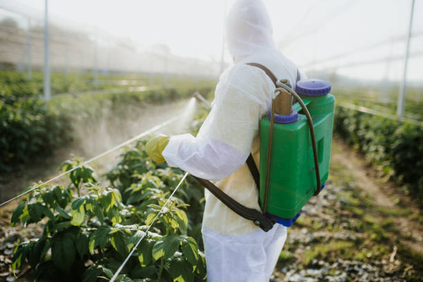 Best Commercial Pest Control Services  in East Point, GA